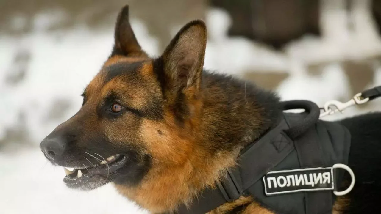 Олеся Матюнинамен тергеу изоляторындағы секс